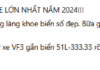 The VinFast VF 3 – ‘Unveiling the New King of the Automotive Kingdom’: Auctioned at VND 3.9 billion, Resold with a Massive VND 1 billion Premium