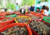 Seafood Exports Surpass $10 Billion: Unveiling the 2 Star Products