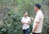 The Green Revolution: Embracing Eco-Agriculture in Northwest Vietnam