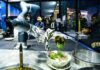 The Future of Culinary Arts: Meet the Pho-Making Robot that Perfects Every Step, from Noodle Preparation to Seasoning and Broth