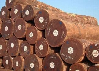 The Timber Trade: How Vietnam Became a Global Powerhouse, Raking in Over $13 Billion and Counting.