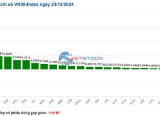 Market Beat: Transport Sector Sustains Recovery, VN-Index Holds Green Fort