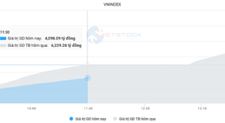 The Market Beat: A Tale of Diverging Fortunes