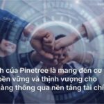 The Evolution of Pinetree Securities: A Unique Journey and its Sweet Rewards