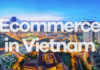 Spending Spree: Vietnamese Online Shoppers Fork Out $1 Billion Each Month