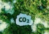 “Carbon Credits: Refining Standards to Unlock Forest Development Opportunities”