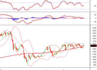Vietstock Weekly 23-27/12/2024: Navigating Short-Term Risks