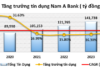 “Steady Growth and Effective Risk Management: Nam A Bank’s Path to Success in 2024”