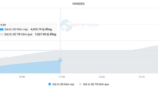 The Market Beat: Transport Sector Shines Amid Dull Liquidity