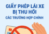 “Vietnam’s Ministry of Public Security Proposes Significant Changes to Driver’s Licenses: Impacting Millions of Citizens”