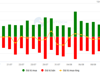 Market Mayhem: Navigating the Storm