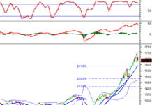 “Technical Analysis for August 25: Navigating a Volatile Market”