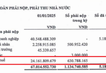 The City of Long Giang: Audit Reveals Tax Issues Once Again