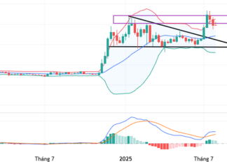 “Crypto Report for August 2025 (Part 2): The Optimism Persists”