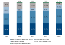 MSN – Strengthening its Position for Sustainable Growth (Part 1)
