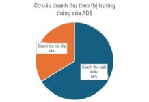 Unlocking Profits: Damsan’s Audited Semi-Annual Report Reveals Nearly VND 45 Billion in Earnings, with August Marking the Launchpad for a String of New Projects