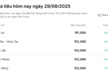 The Spice is Right: Black Pepper Prices Soar to a Spicy 153,000 VND per Kilogram