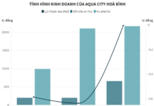 “Vast Debt and Losses Plague La Vong Corporation-Affiliated Enterprise”
