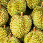Thailand, Vietnam’s Rival, Unveils New Durian Varieties: Over 200 Registered Cultivars Aim to Conquer Indian, Australian, and European Markets.
