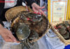 Exporting Crab and Shrimp Hits a 10-Year Record High, Raking in Billions