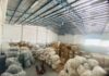 “Major General Leads Factory Raid, Busts $550,000 Counterfeit Cosmetics Ring, Seizing Over 200,000 Unlicensed Products.”
