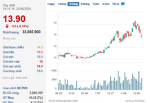 A Creative Makeover: Unveiling EVNFinance’s Transformation with a New Name and Logo Post-Inspection