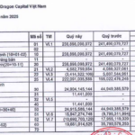 “Dragon Capital’s Performance in the First Half of 2025: A Comprehensive Overview”