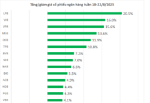 The Stock Market’s Best-Kept Secret: Banking on Big Gains