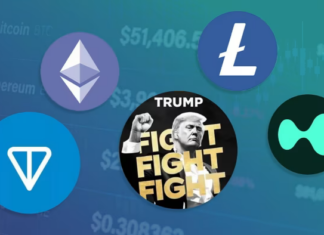 The Crypto Craze: Beyond Bitcoin, the Rise of Altcoin Trading on Stock Exchanges