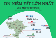 The Power Players: Unveiling the $59 Billion Map of Vietnam’s Provincial Powerhouses