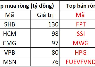 Foreign Sell-Off: 13th August Session Sees Massive Foreign Outflow of Over VND 1,500 Billion – Which Stocks Took the Biggest Hit?