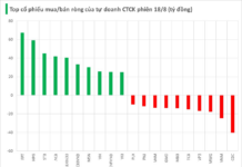 The Stock Market’s Stealthy Strategists: In-House Traders Unveil their Tactics with a $9 Million Shopping Spree on August 18th.