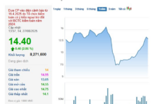 Unlocking the Power of Words: “336 Million Shares Set Free: Escaping the Confines of Caution”