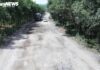 The Lifeline Provincial Road Connecting the Expressway in Hue Needs a $2.8 Million Makeover: A Critical Infrastructure Revamp