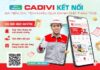 Unleashing the Power of Connection: Introducing the CADIVI Zalo Mini App