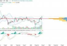 Profitable Growth Strategy: Masan’s Long-Term Play