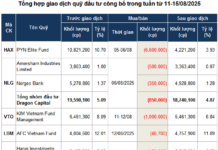 Unlocking Profits: Navigating the VN-Index’s Surge Past the 1,600-Point Milestone