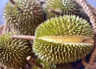 A Plethora of Chinese Businesses Are Heading to Ho Chi Minh City to Procure Durian