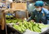 The Million-Dollar Fruit: Vietnam’s Star Export Makes it to the World’s Top 10.
