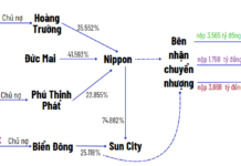 The Cash Carousel: Unraveling the Massive Debt of a Mega Project in Thu Duc