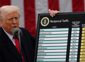 The Unloved Export Stock: FPTS Divests from May Song Hong