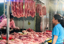 Pork Prices Plummet