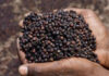 Vietnamese Pepper Exports Reach the Billion-Dollar Mark