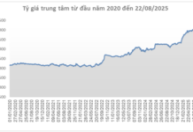 The Greenback Slides, but Domestic Rates Remain Lofty