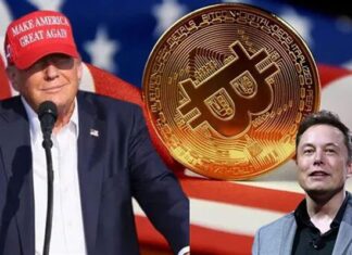 Elon Musk and President Trump: A Crypto Alliance Behind the Grand Plan?