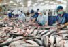 “Domestic Market: An Untapped Opportunity for Seafood Businesses”