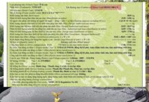 VinFast VF 9 Special Edition: Unveiling the 201-Horsepower Engine, Larger Battery, and 4-Seat Cabin