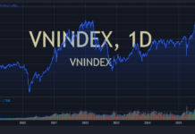 The VN-Index Surges to Historic Highs: Top Brokerages Convene Emergency Meetings