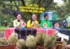 The Tech-Savvy Secretary: How One Woman’s Livestream Sold Tons of Durian Fruit