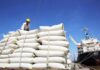Vietnam Rice Prices Hit Eight-Month High